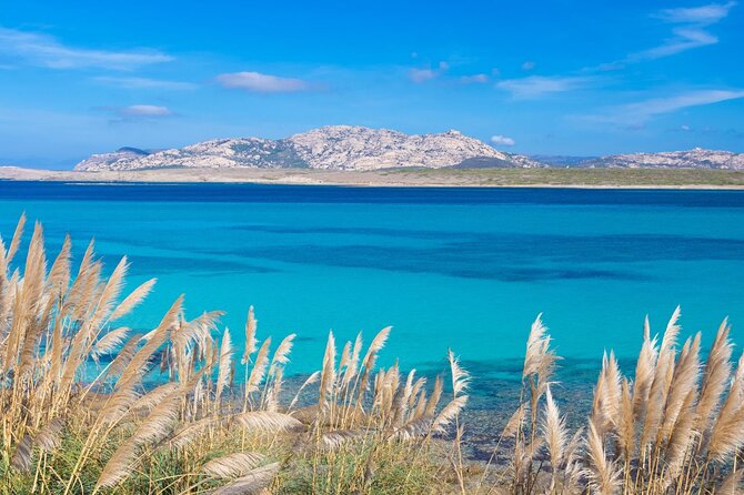 Stintino Half Day Catamaran Tour to La Pelosa with Aperitif - A Sardinian aperitif on board