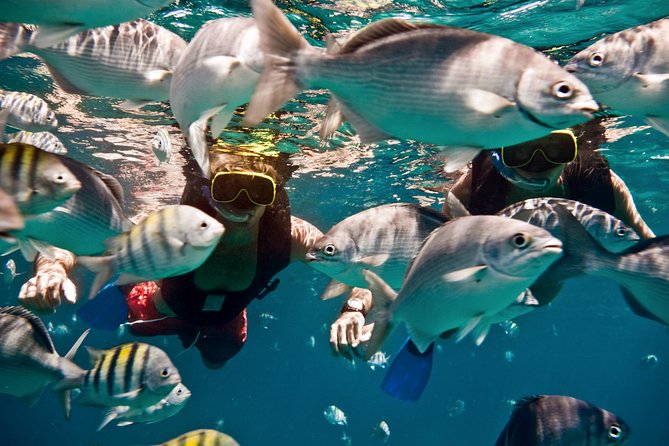 Sunset Catamaran and Snorkeling Cruise At Carlisle Bay - The secluded cay is more than a quick photo stop