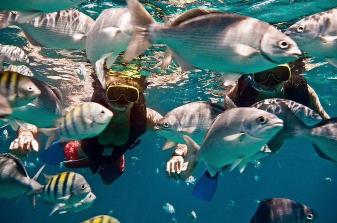 Sunset Catamaran and Snorkeling Cruise At Carlisle Bay - Drinks bring energy, but also the main risk