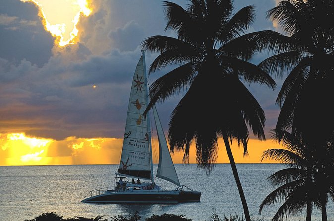 Sunset Catamaran and Snorkeling Cruise At Carlisle Bay - The crew is a major part of the value