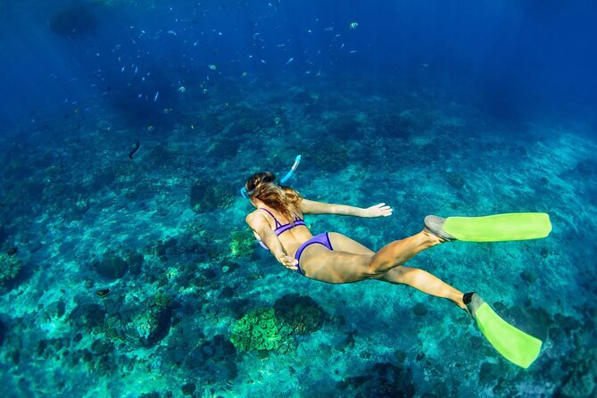 Sunset Catamaran cruise, Snorkeling and Rick's Cafe from Mobay - What the guide service adds