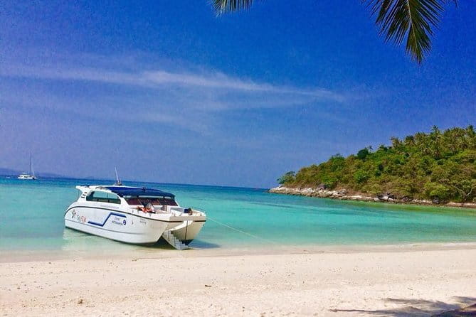 Sunset Catamaran Cruise to Coral Island - Who will enjoy this cruise most
