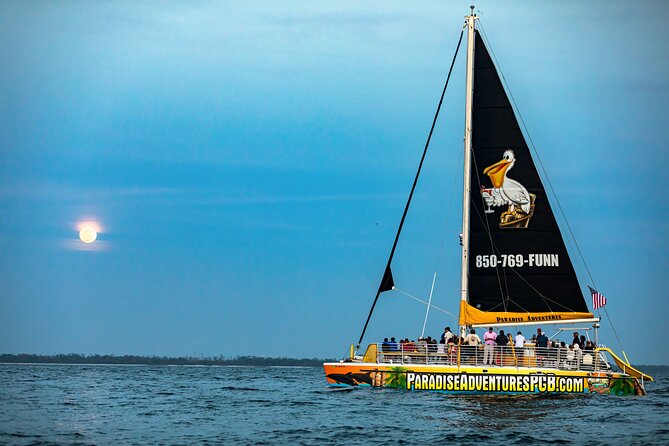 Sunset Dolphin Sail Aboard the Privateer Catamaran - The first hour: dolphins, music, and Gulf views
