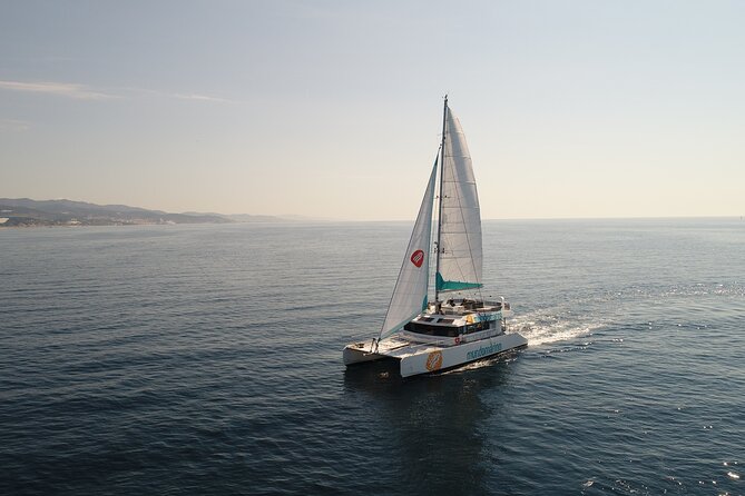 Sunset or night catamaran tour from Malaga - A short route with a broad view