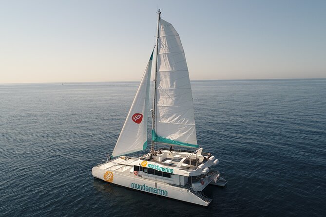 Sunset or night catamaran tour from Malaga - Who will enjoy this Malaga boat trip