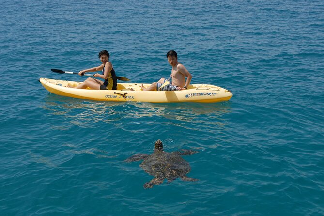 Swim with Dolphins Catamaran with Waterslide & Lunch on Oahu - Lunch, equipment, and the practical comforts
