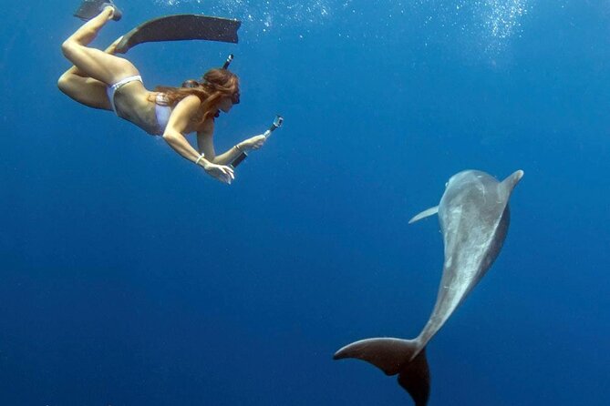 Swim with Dolphins Catamaran with Waterslide & Lunch on Oahu - Rough water is the biggest comfort issue