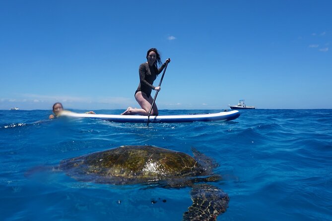Swim with Dolphins Catamaran with Waterslide & Lunch on Oahu - Who will enjoy this most