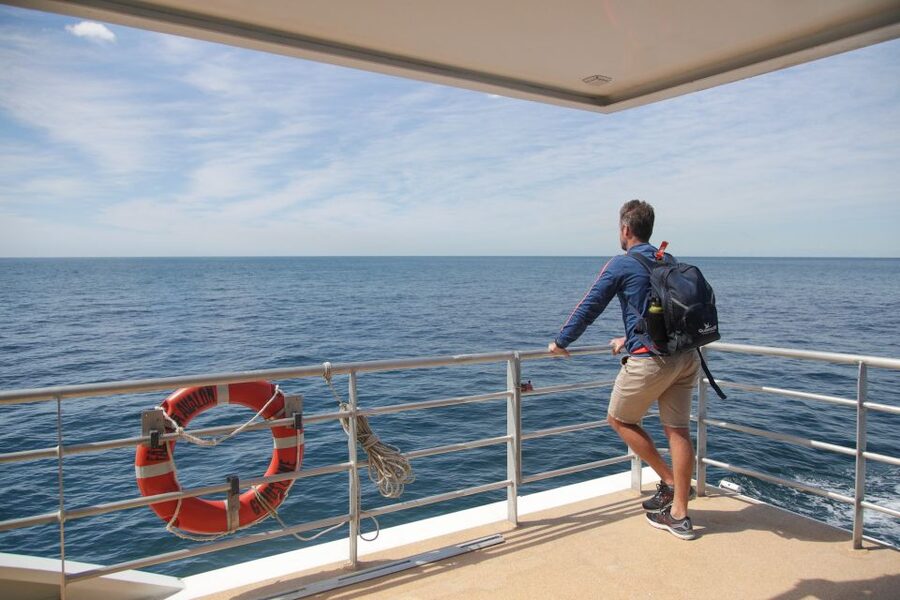 Sydney: Discovery Whale Watching Tour by Catamaran - The crew, commentary, and onboard comfort