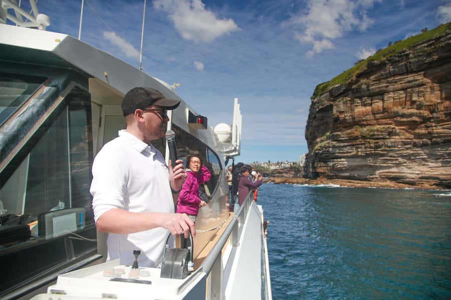 Sydney: Discovery Whale Watching Tour by Catamaran - FAQ