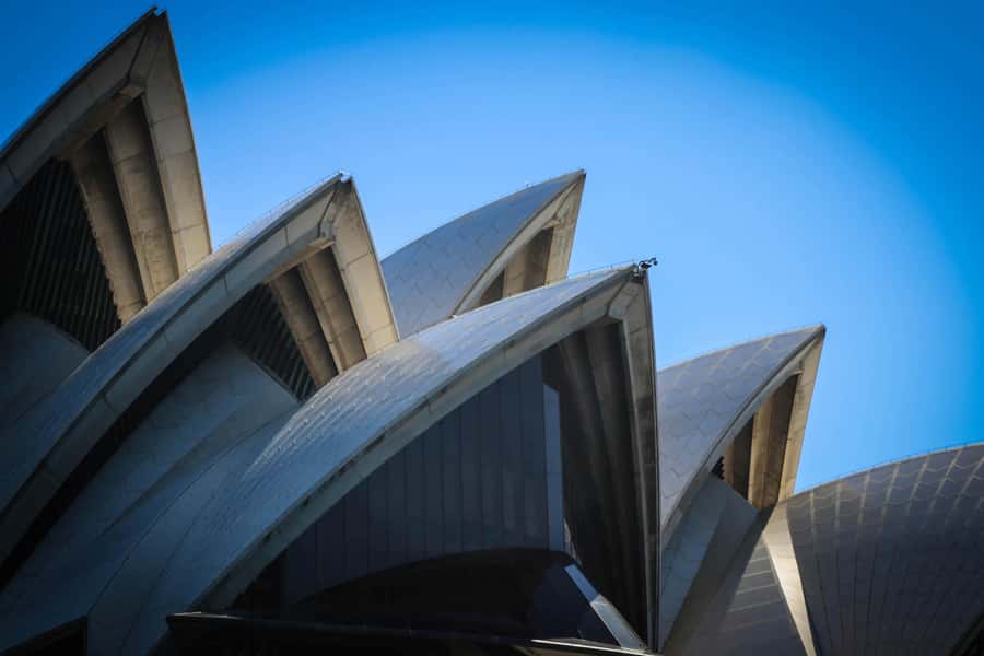 Sydney: Harbour Highlights & Aussie Bites Catamaran Cruise - Bringing your own alcoholic drinks