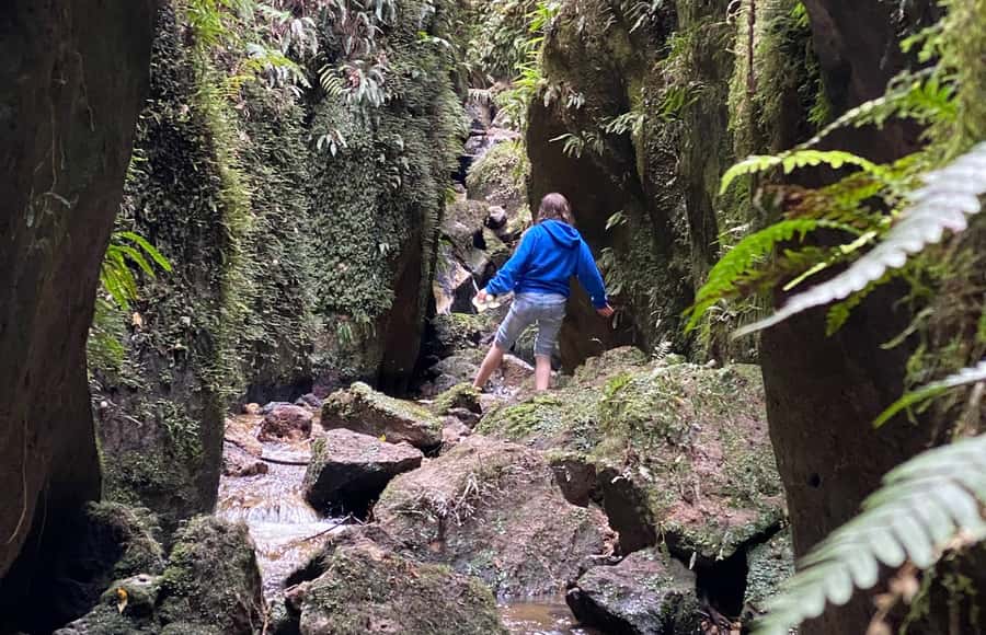 Taupo: Lake Taupo Western Bays Catamaran Tour with Bush Walk - Landing at the secluded beach