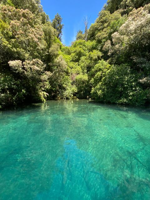 Taupo: Lake Taupo Western Bays Catamaran Tour with Bush Walk - How the small group changes the experience