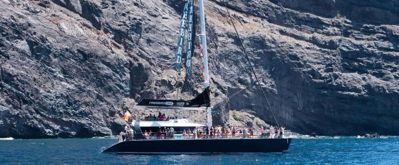 Tenerife: Catamaran Cruise with an Open Bar - The Freebird catamaran and the feel onboard