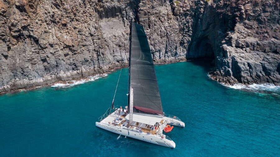 Tenerife: Catamaran Cruise with Brunch and Unlimited Drinks - Punta Rasca and the search for marine life