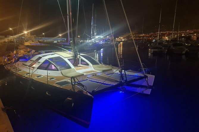 Tenerife Whales and Dolphins Watching Experience in Catamaran - Leaving Marina Puerto Colón