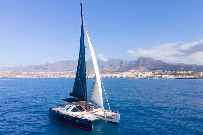 Tenerife Whales and Dolphins Watching Experience in Catamaran - The south-coast views from the catamaran