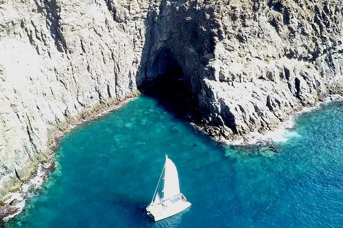 Tenerife Whales and Dolphins Watching Experience in Catamaran - Families, couples, and solo visitors