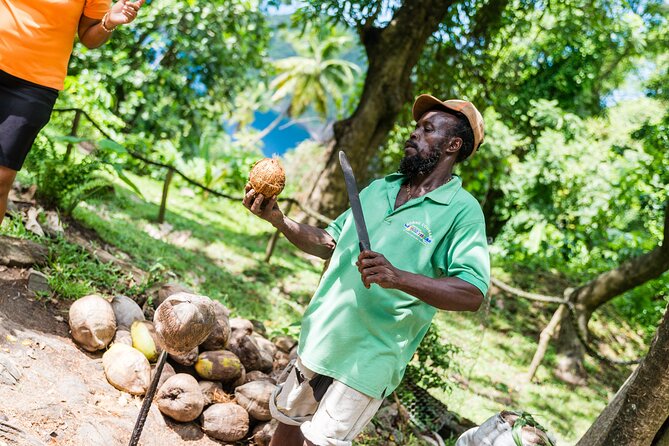 Tet Paul Hike & Soufriere Catamaran Experience - The Pitons and Soufriere Bay