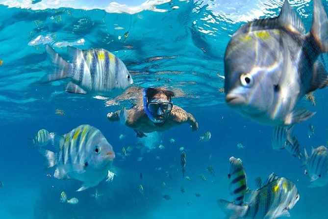The Best Catamaran Tour to Isla Mujeres from Cancún - Snorkeling conditions can shape the day