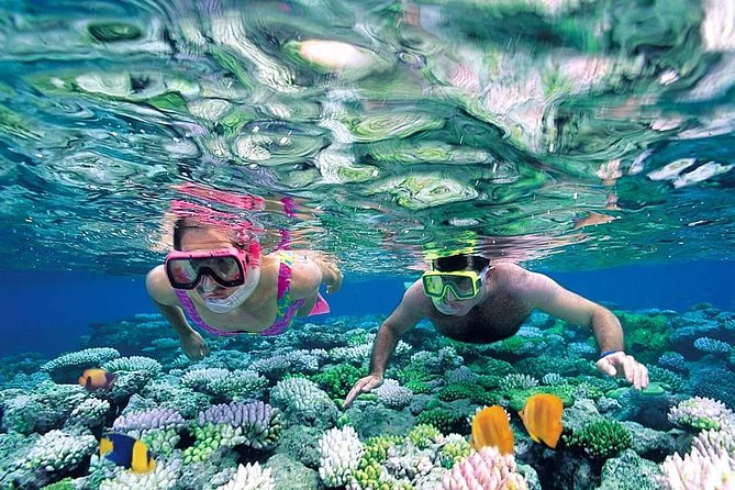 The Best Catamaran Tour to Isla Mujeres from Cancún - Exploring Isla Mujeres at your own pace