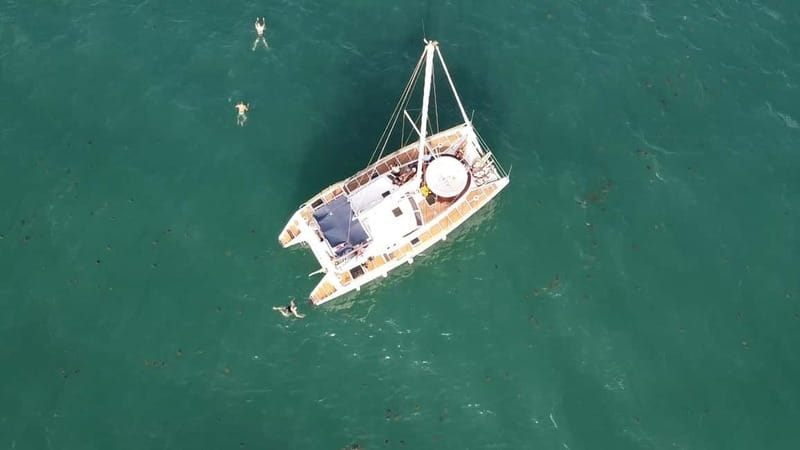 Torrevieja: Catamaran cruise and sunset with swimming - Swimming, snorkeling, and paddle boards