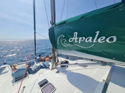Tour the harbor with the catamaran Apaleo