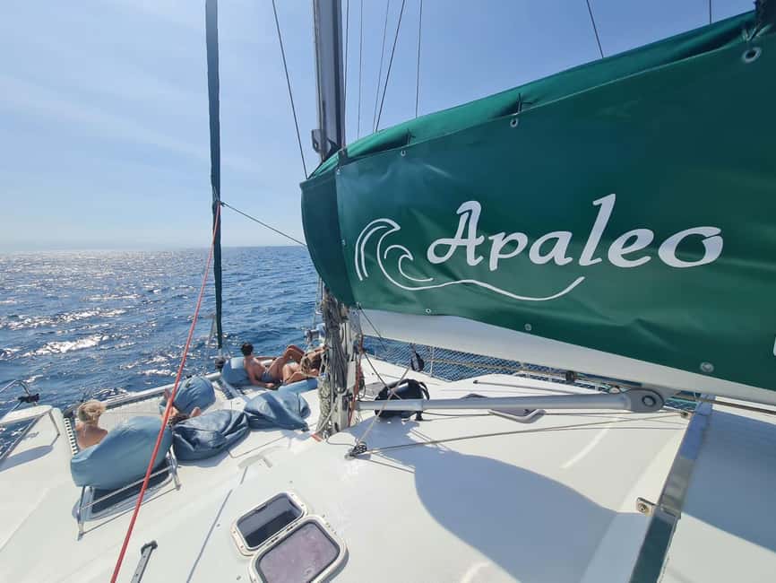 Torrevieja: Tour the harbor with the catamaran Apaleo - Hundreds of sailboats and yachts in the marina