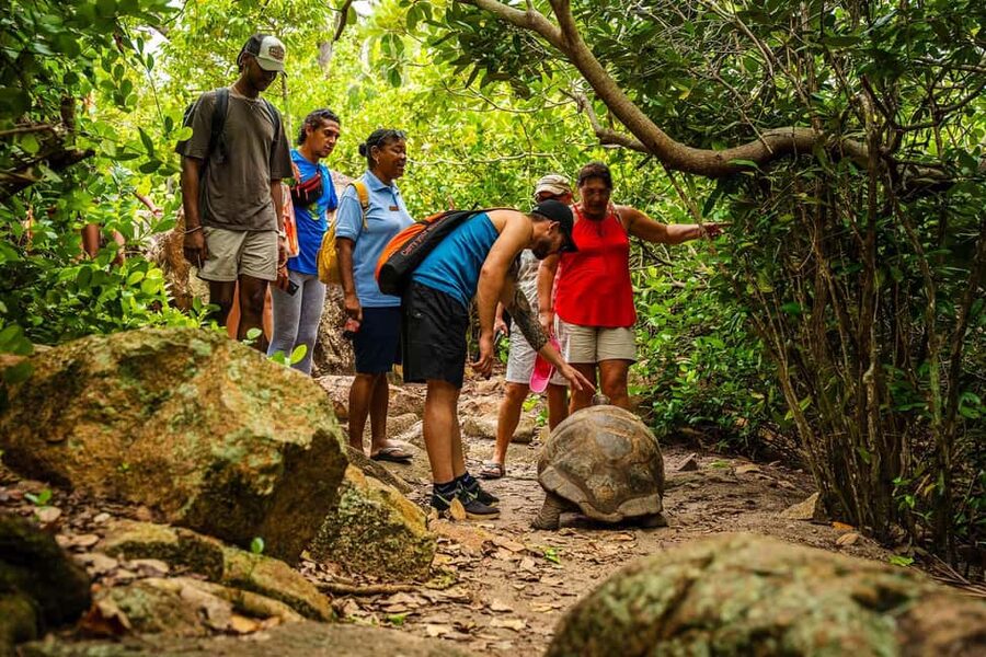 Tour of Cousin, Curieuse and St Pierre island on Catamaran - The catamaran ride is part of the experience