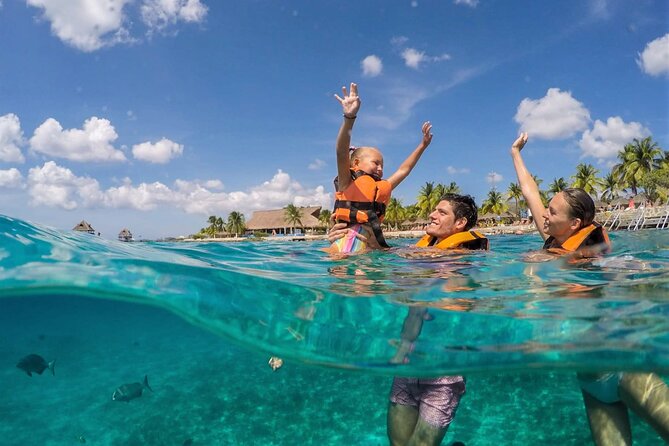 Tour to Cozumel by Catamaran with Snorkeling and Buffet Lunch - Key points to know before booking