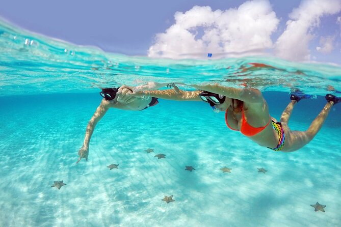 Tour to Cozumel by Catamaran with Snorkeling and Buffet Lunch - What this Cozumel day is really like