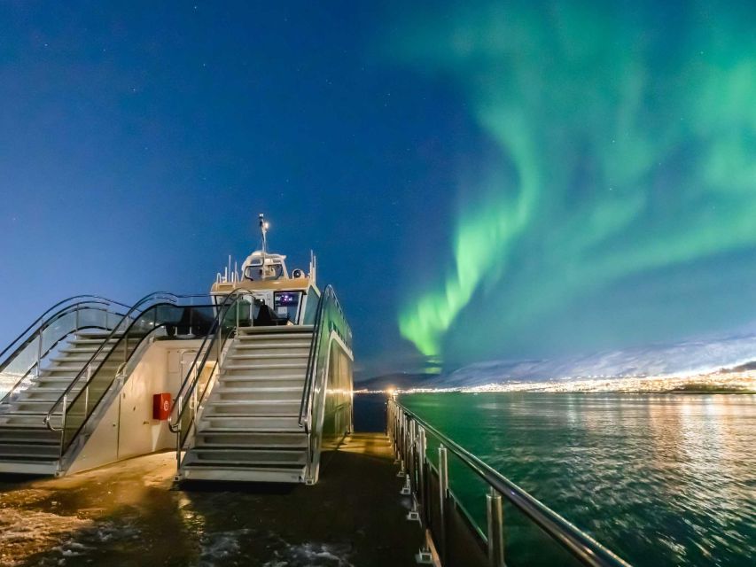 Tromsø: Aurora Dinner Cruise by Hybrid-Electric Catamaran - The three-course Arctic dinner