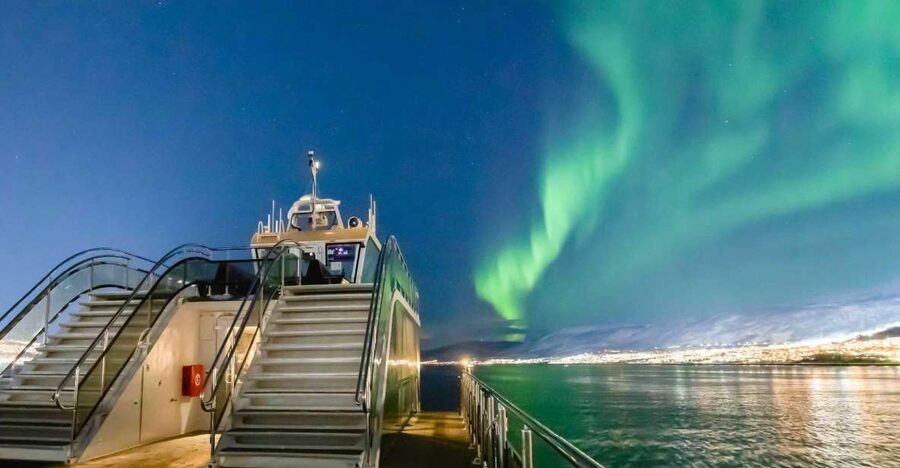 Tromsø: Aurora Dinner Cruise by Hybrid-Electric Catamaran - What the night looks like from the water