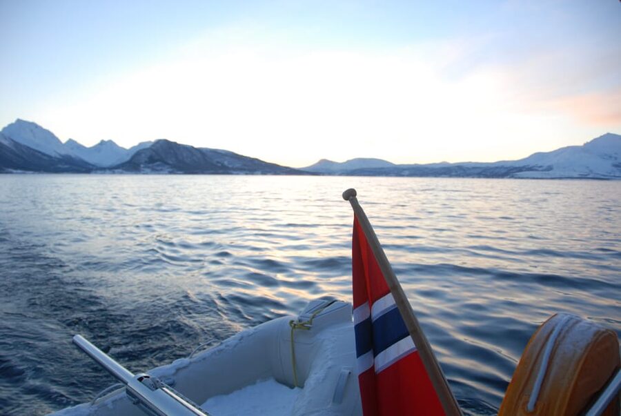 Tromsø: Fjord and Islands Luxury Catamaran Cruise - The return journey and the fish soup