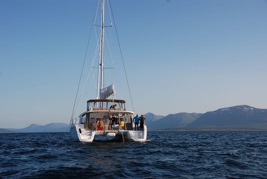 Tromsø: Fjord and Islands Luxury Catamaran Cruise - Who will enjoy this most