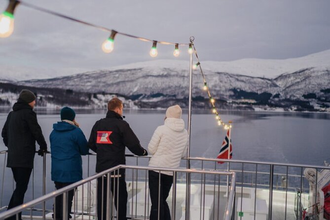 Tromsø, Northern Lights and Wilderness Evening Catamaran Cruise - What happens when the weather turns bad