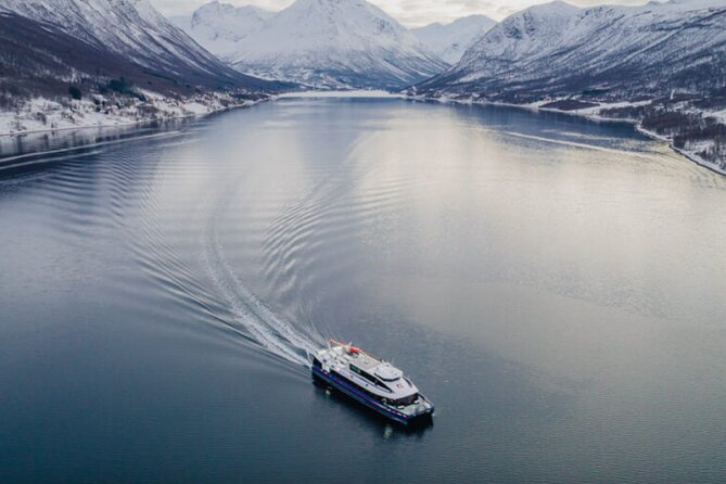 Tromsø, Northern Lights and Wilderness Evening Catamaran Cruise - Is the cruise suitable for you?
