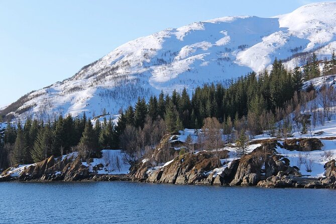 Tromsø, Northern Lights and Wilderness Evening Catamaran Cruise - Life aboard MS Rygerdronningen