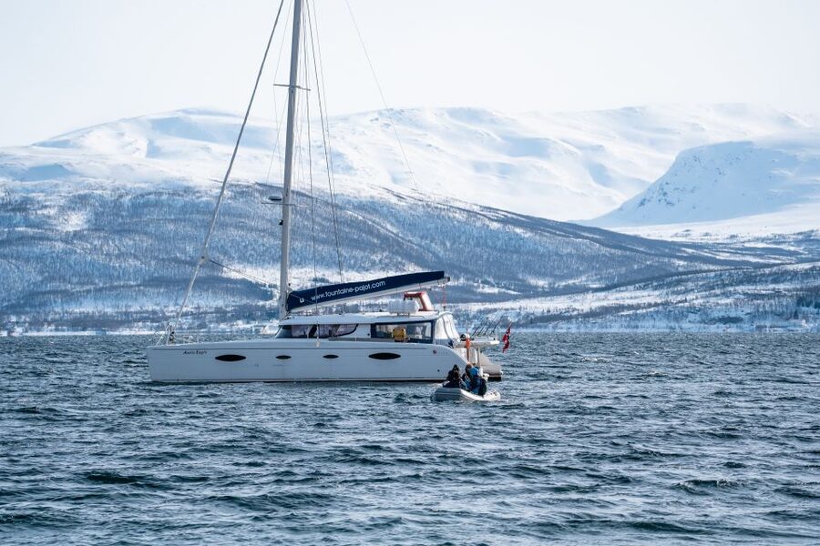 Tromso: Sightseeing Cruise by Catamaran with Snacks & Drinks - Wildlife watching with realistic expectations