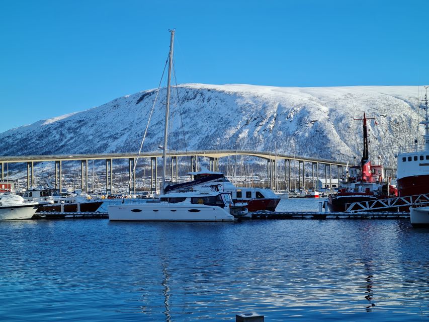 Tromso: Sightseeing Cruise by Catamaran with Snacks & Drinks - How the $136 price measures up