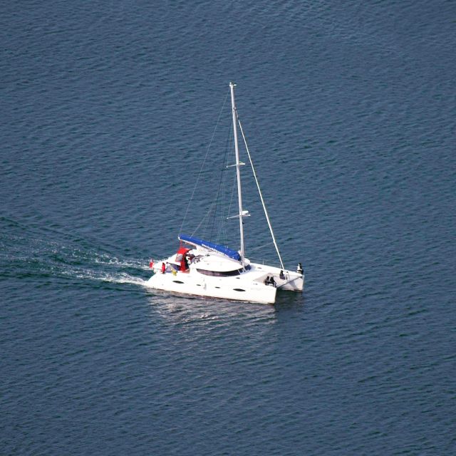 Tromso: Sightseeing Cruise by Catamaran with Snacks & Drinks - Who will enjoy the Arctic Eagle most