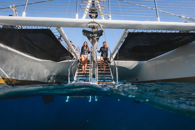 Turtles & Tacos Luxury Catamaran Snorkel - Tacos, margaritas, and a practical open bar