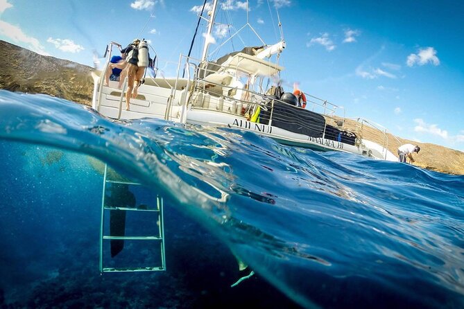 Turtles & Tacos Luxury Catamaran Snorkel - Is $199 a fair price?
