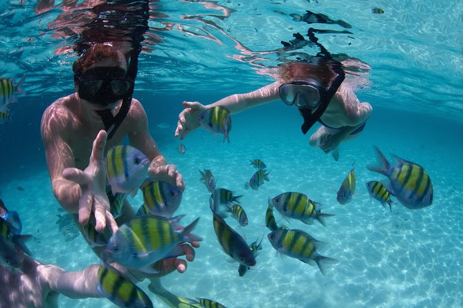 Up to 15 passengers Private Catamaran Sailing from Punta Cana - Morning or afternoon: which departure works better?