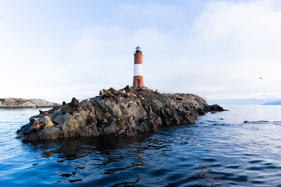 Ushuaia: Beagle Channel Catamaran Tour - The short walk on Bridges Island