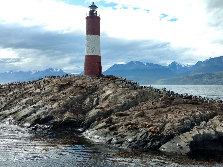 Ushuaia: Beagle Channel & Sea Wolves Island Catamaran Cruise - Stepping ashore at Puerto Karelo