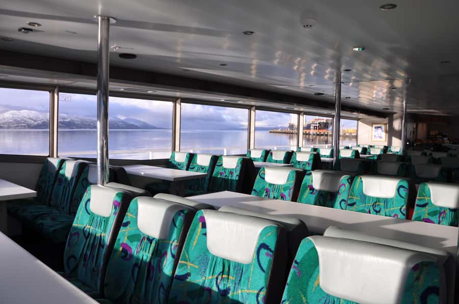 Ushuaia: Penguin Watching Tour by Catamaran - Sea Lion Island in the Bridges Archipelago