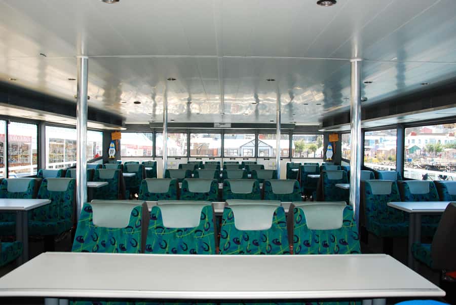Ushuaia: Penguin Watching Tour by Catamaran - Sailing east through the Beagle Channel