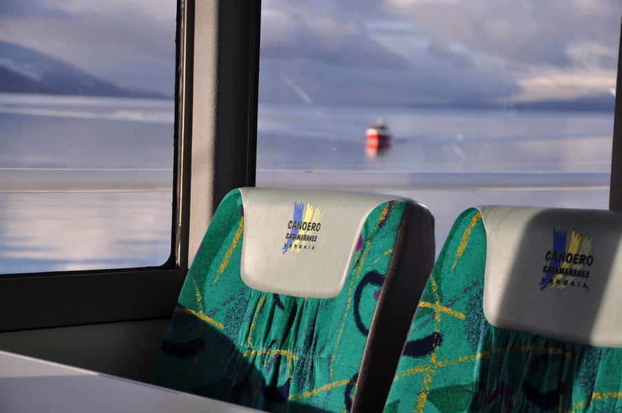 Ushuaia: Penguin Watching Tour by Catamaran - Martillo Island, the penguin highlight