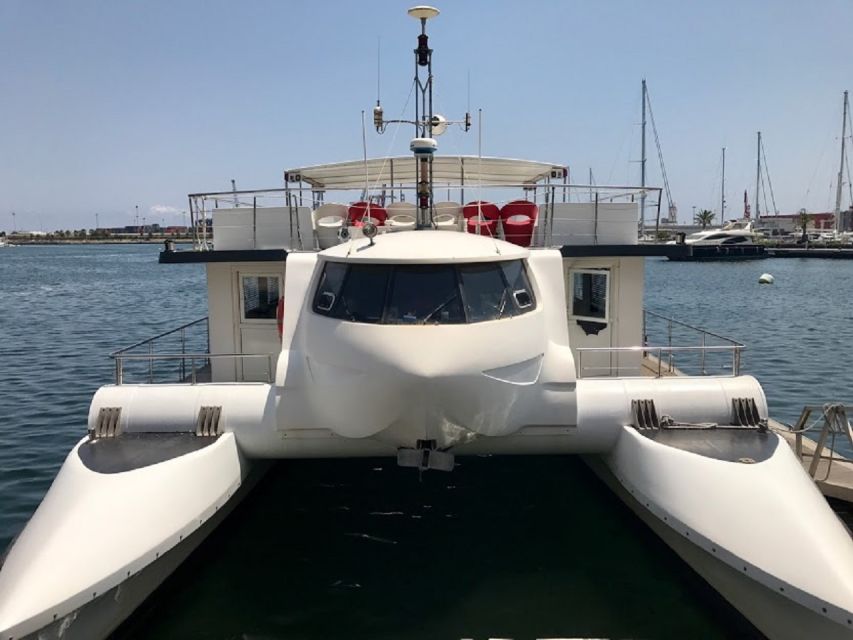 Valencia: Catamaran Cruise, Paella Lunch and Swim Stop - What the 2.5-hour outing feels like